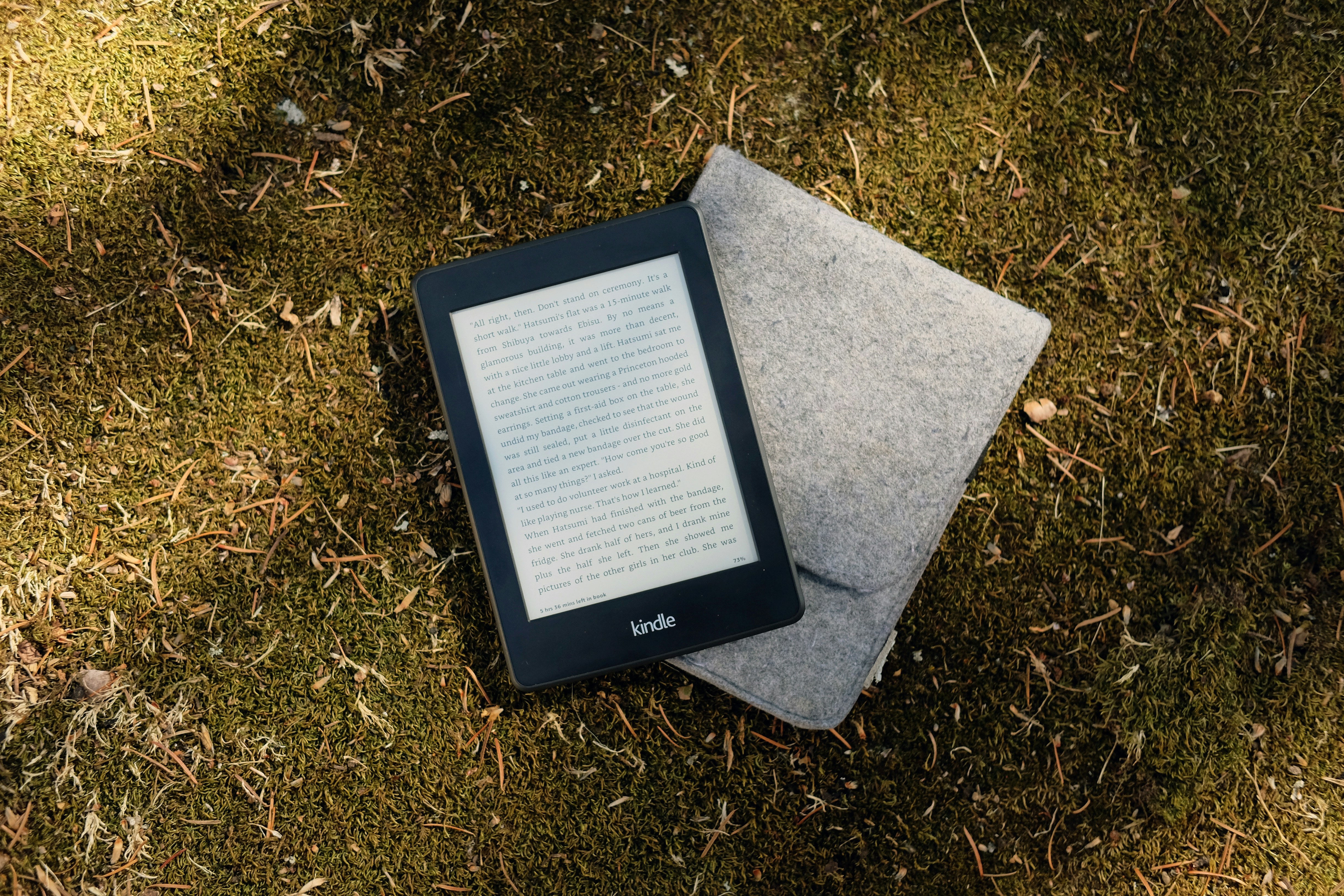 Kindle in the grass